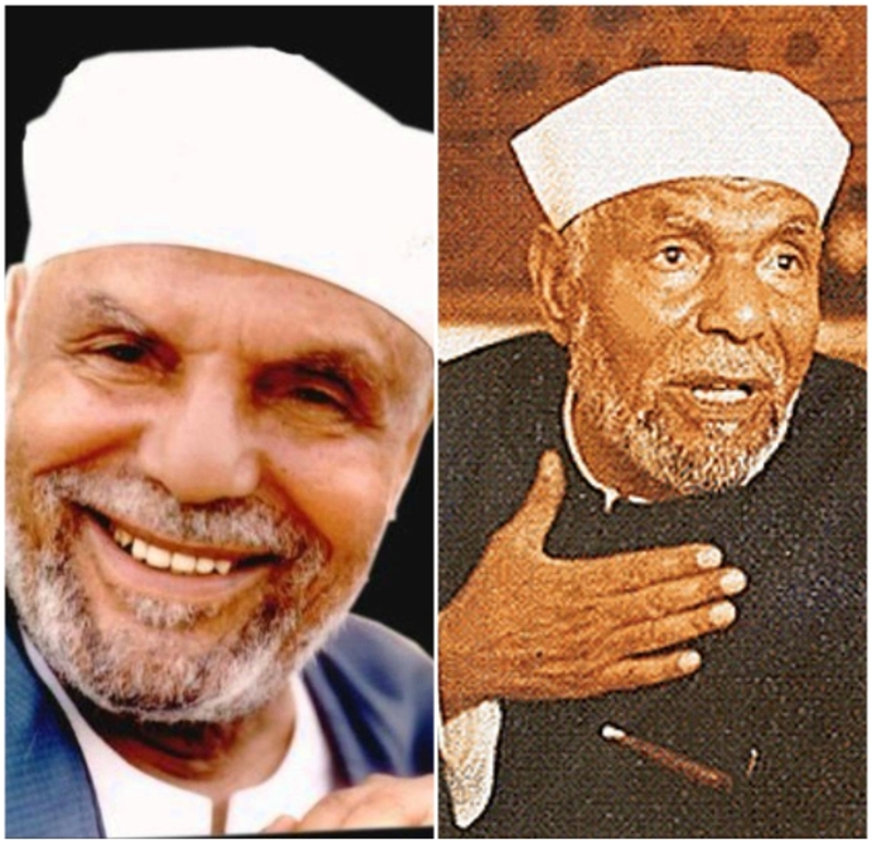 هل هذا الممثل هو شقيق الشيخ محمد متولي الشعراوي؟ اكتشفوا الحقيقة